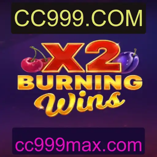 Explorando o Fascinante Mundo de BurningWinsX2 no CC999.COM